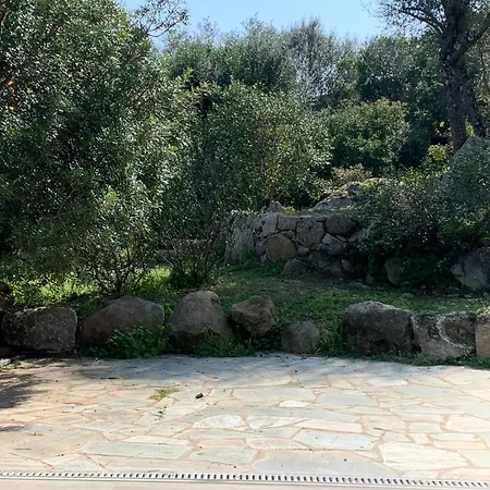 La Campagne Au Bord De La Dom wakacyjny *