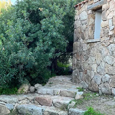 Dom wakacyjny La Campagne Au Bord De La Porto-Vecchio (Corsica)